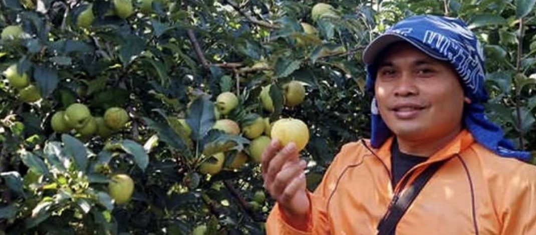 Kisah Inspiratif Pengusaha UMKM, Ubah Potensi Lokal Jadi Bernilai Jual Tinggi