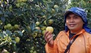 Kisah Inspiratif Pengusaha UMKM, Ubah Potensi Lokal Jadi Bernilai Jual Tinggi